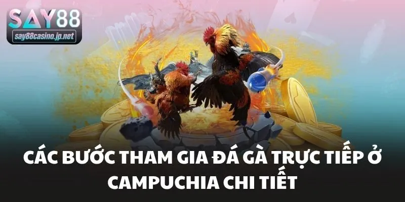 Các bước tham gia đá gà trực tiếp ở campuchia chi tiết