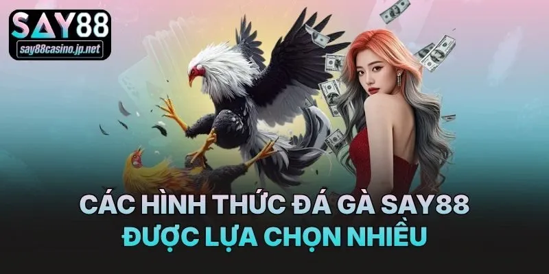 Các hình thức đá gà Say88 được lựa chọn nhiều