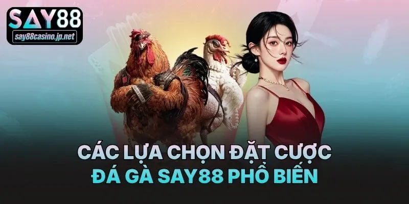 Các lựa chọn đặt cược đá gà Say88 phổ biến