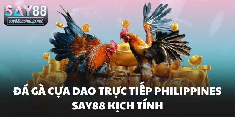 Đá Gà Cựa Dao Trực Tiếp Philippines Say88 Kịch Tính