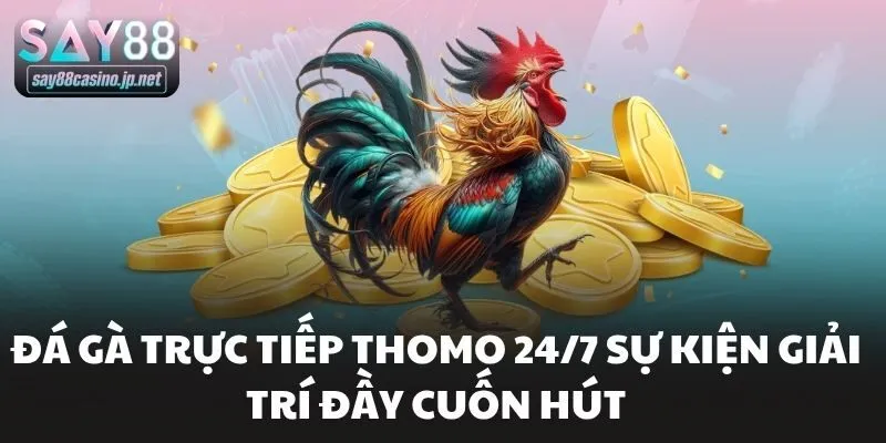 Đá Gà Trực Tiếp Thomo 24/7 Sự Kiện Giải Trí Đầy Cuốn Hút