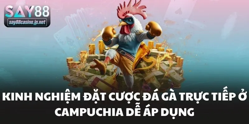 Kinh nghiệm đặt cược đá gà trực tiếp ở campuchia dễ áp dụng