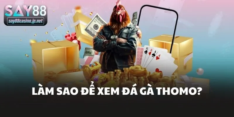 Làm sao để xem đá gà thomo?
