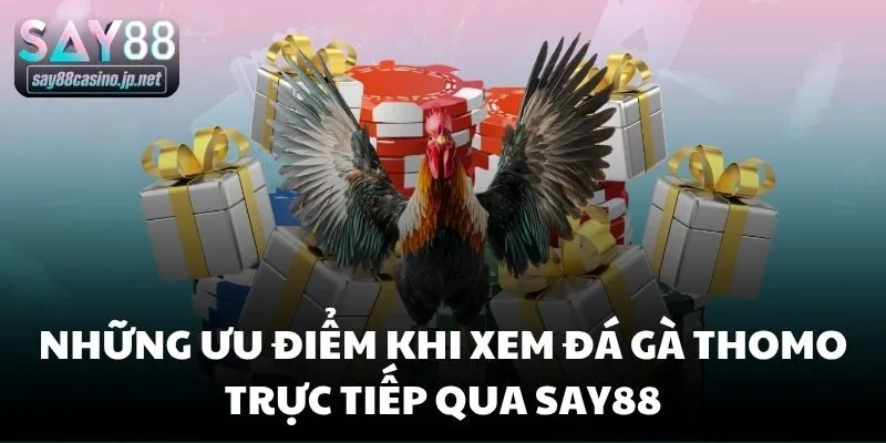 Những ưu điểm khi xem đá gà thomo trực tiếp qua Say88