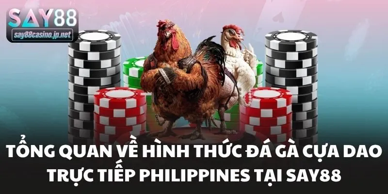 Tổng quan về hình thức đá gà cựa dao trực tiếp philippines tại Say88