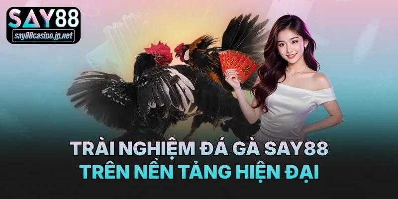 Trải nghiệm đá gà Say88 trên nền tảng hiện đại